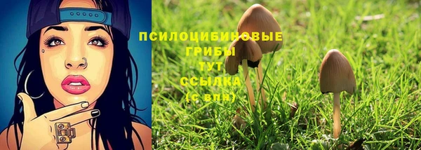 jwh Алзамай