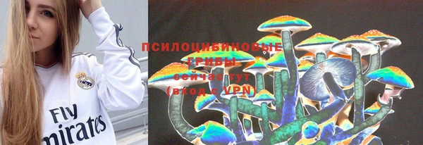 кокс Алексин