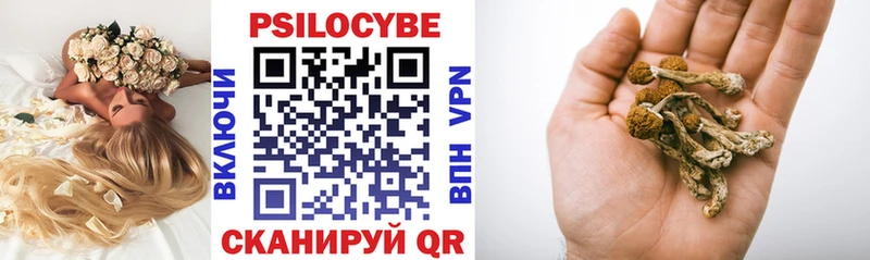 Псилоцибиновые грибы Psilocybe  что такое наркотик  Сим 